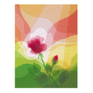 klik voor meer info en bestellen