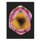 klik voor meer info en bestellen